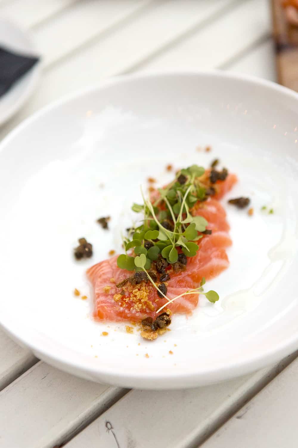 Salmon Crudo