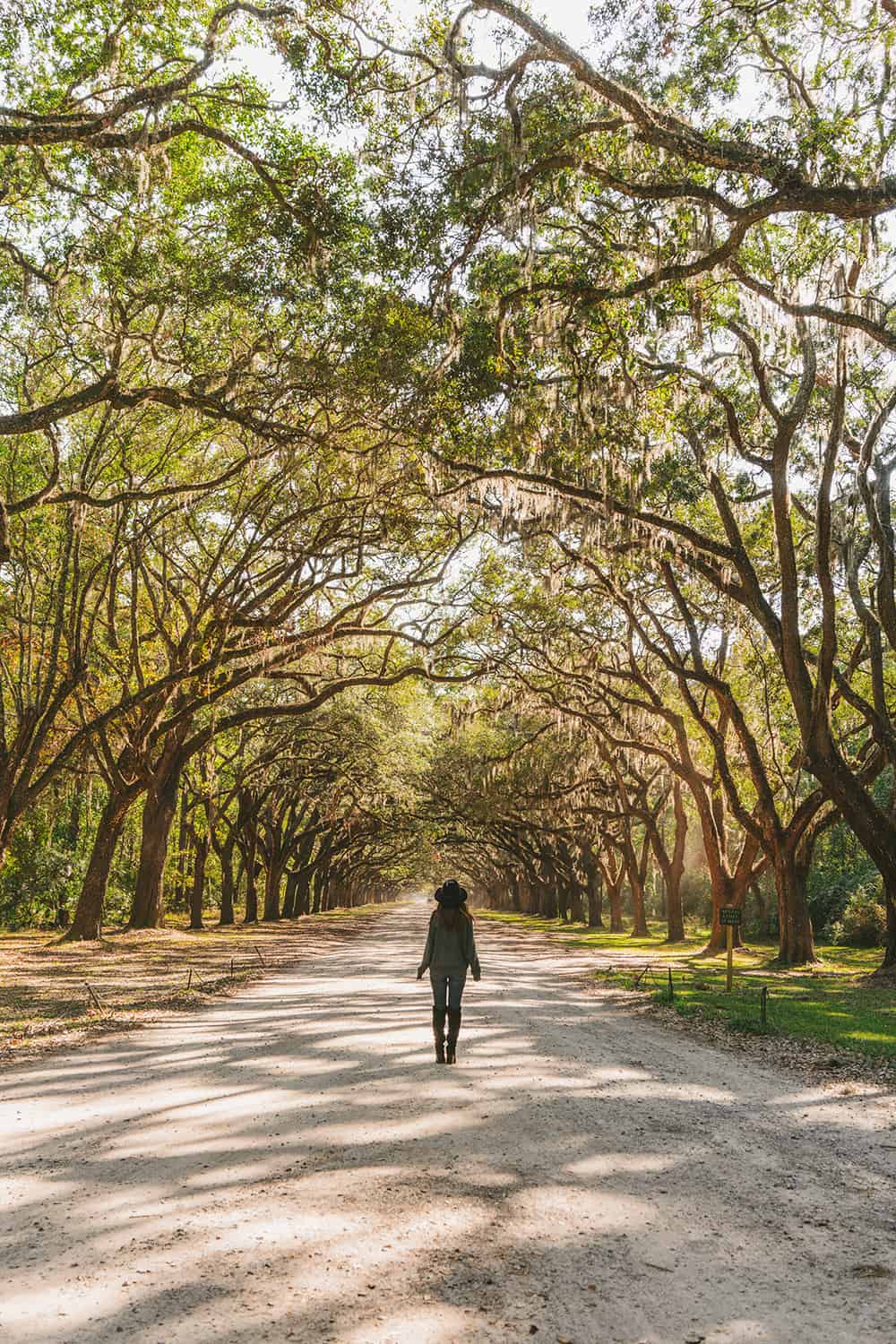 Wormsloe Plantation in Savannah