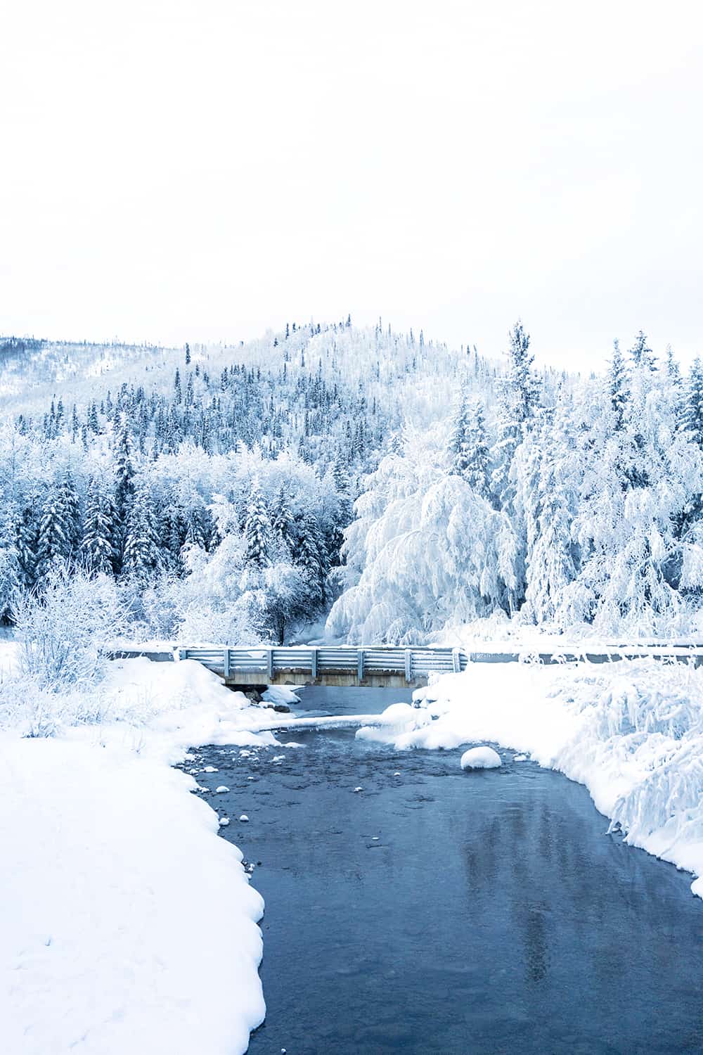 Chena Hot Springs Resort