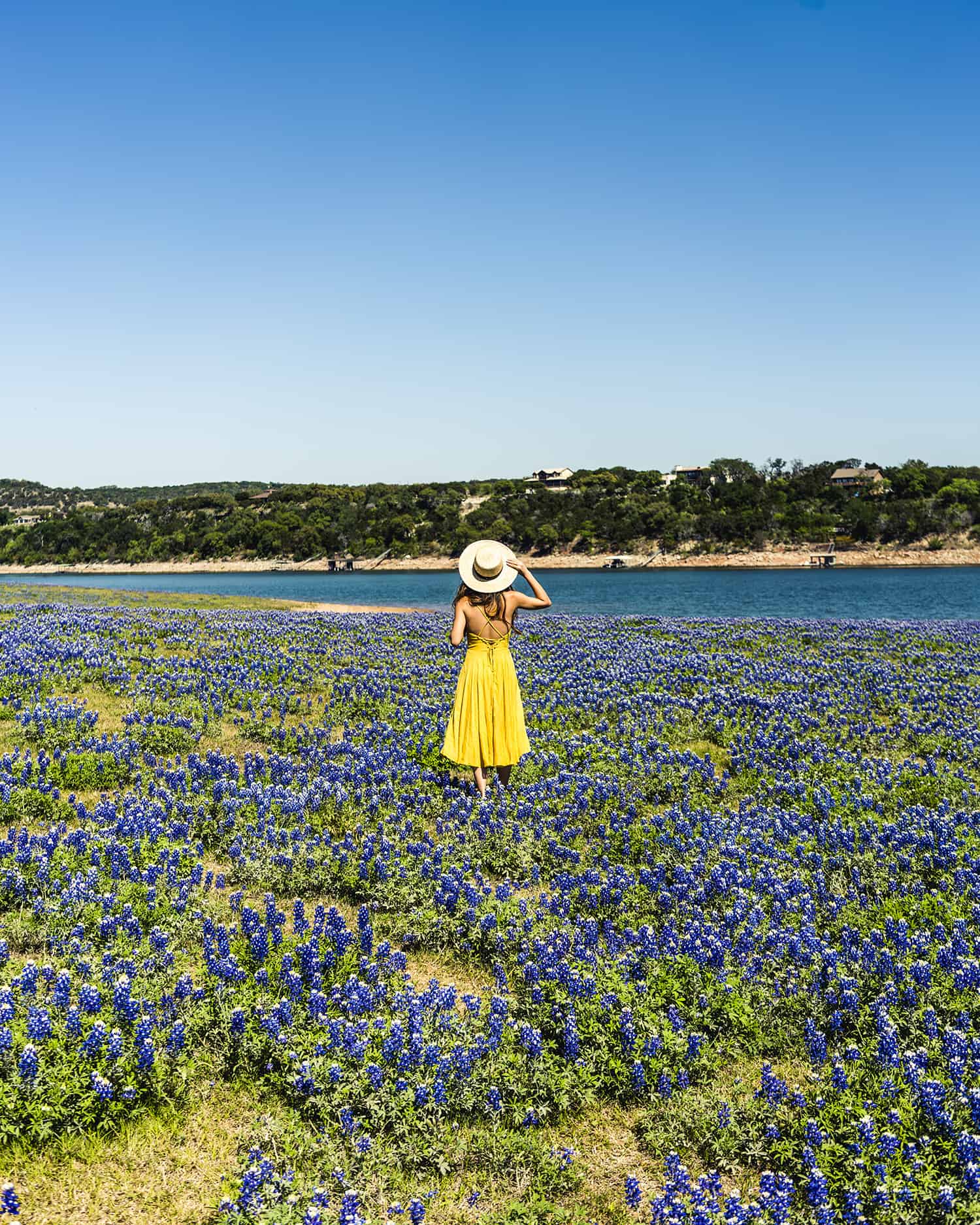 Muleshoe Bend