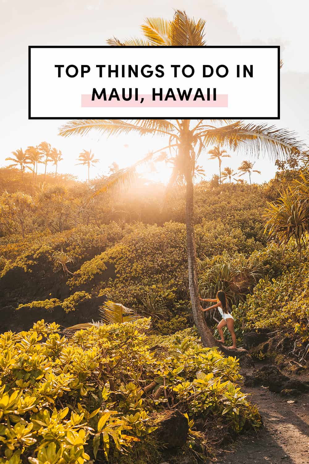 5 Top Things To Do In Maui, Hawaii A Taste of Koko