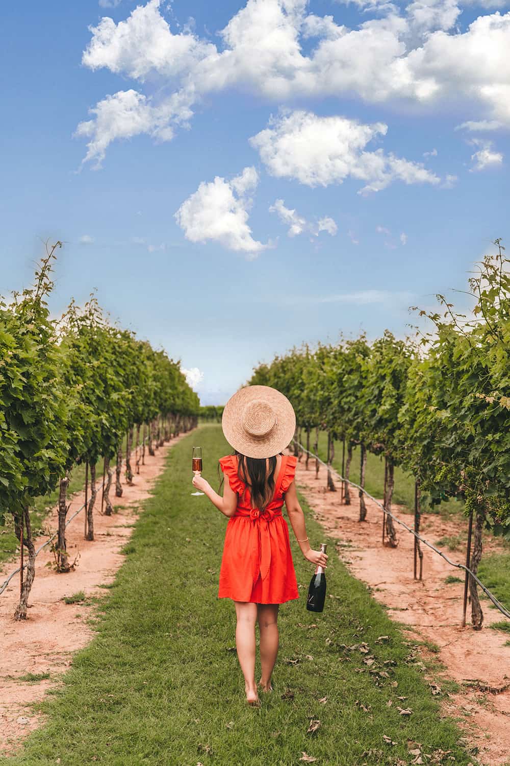 Grape Creek Vineyards in Fredericksburg, Texas