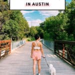 Best Hiking Trails In Austin Texas