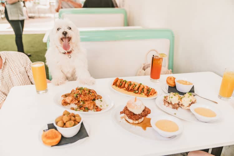 dog friendly restaurants in Austin