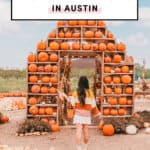 Best pumpkin patches in Austin