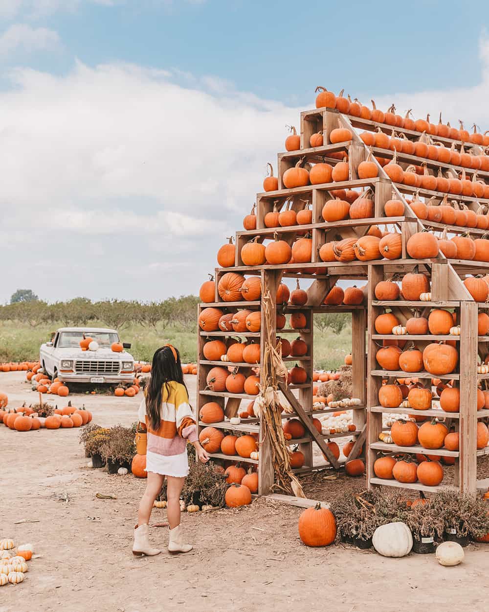 Best pumpkin patches in Austin