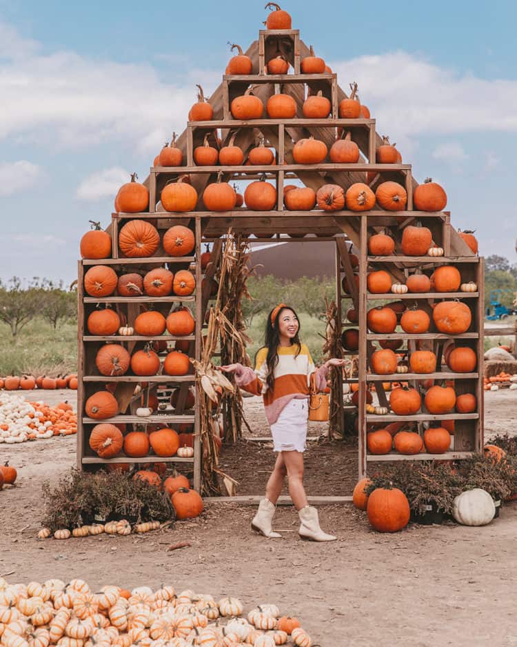 15 Best Pumpkin Patches In Austin, Updated Oct 2022 | Koko