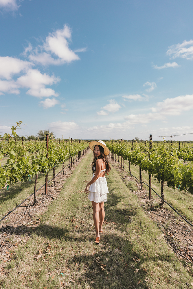 Fredericksburg vineyard wineries