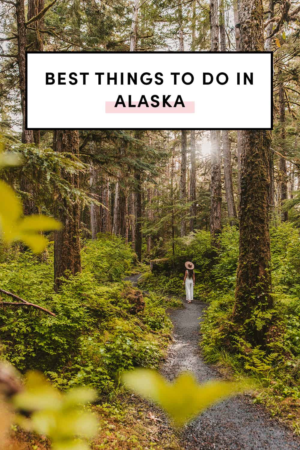 21 Top Things To Do In Inside Passage Of Southeast Alaska