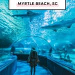 Best things to do in Myrtle Beach SC South Carolina