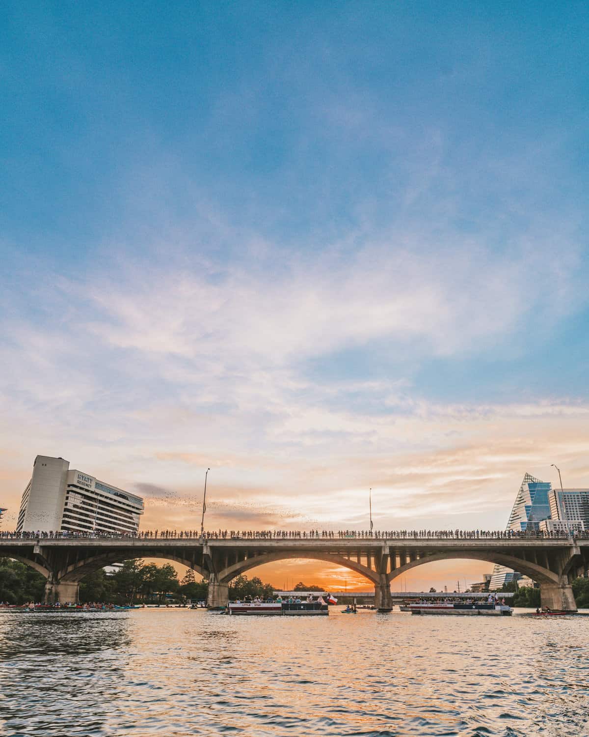 bats fly out from the Congress Bridge in Austin Texas