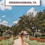 Best wineries & vineyards in Fredericksburg Texas