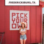 13 Best Peach Orchards In Fredericksburg TX