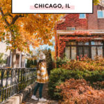 37 Top Things To Do In Chicago, Illinois