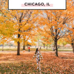 37 Top Things To Do In Chicago, Illinois