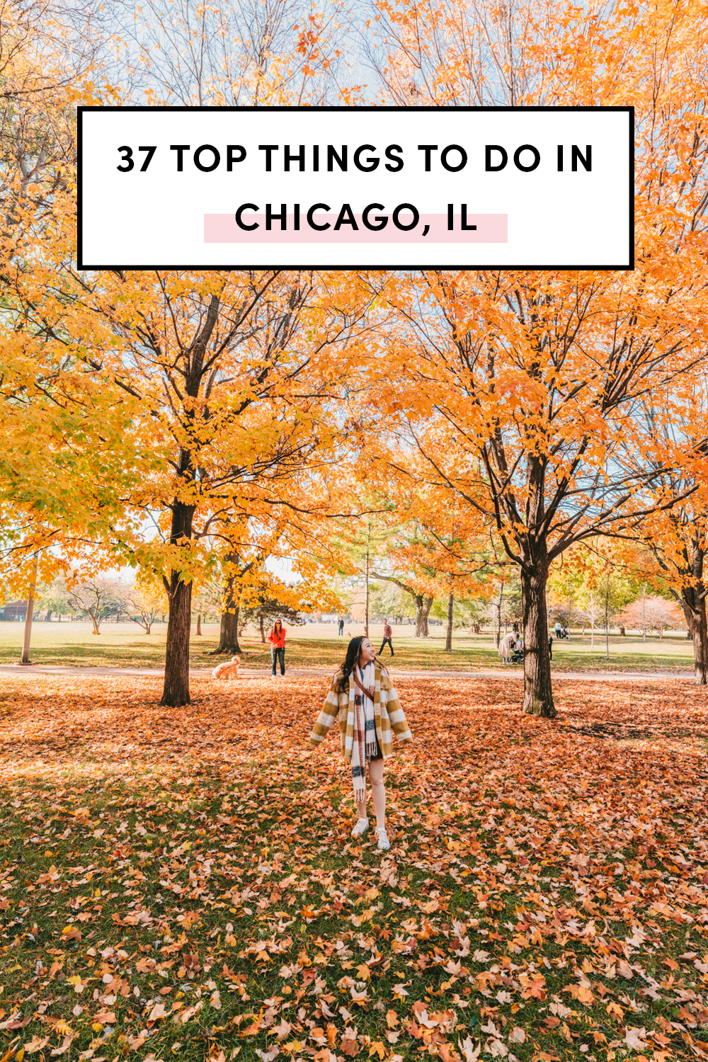 37 Top Things To Do In Chicago, Illinois