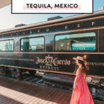 Top things to do in Tequila Guadalajara Mexico