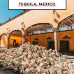 Top things to do in Tequila Guadalajara Mexico