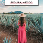 Top things to do in Tequila Guadalajara Mexico