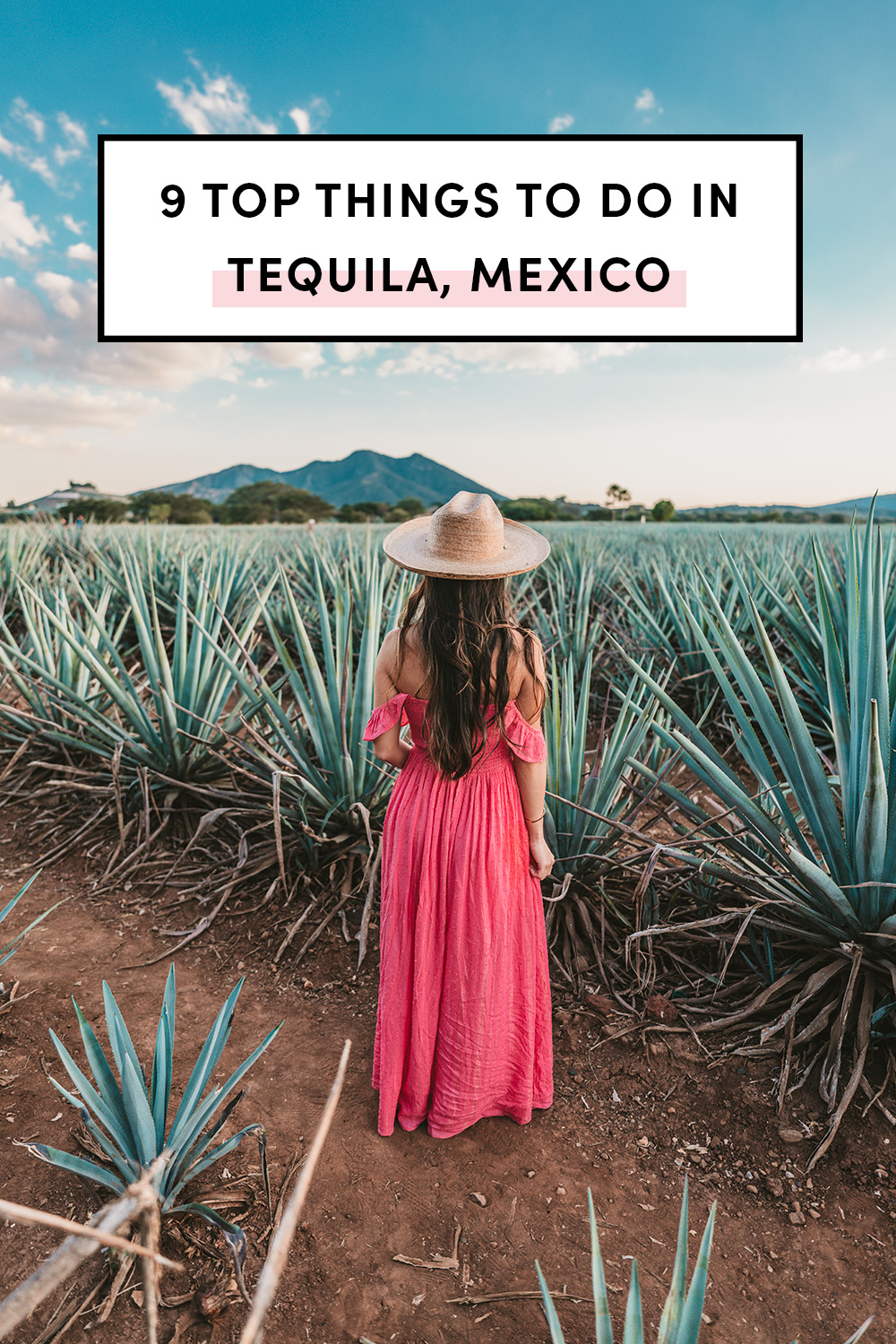 Top things to do in Tequila Guadalajara Mexico