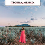 Top things to do in Tequila Guadalajara Mexico