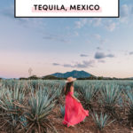 Top things to do in Tequila Guadalajara Mexico