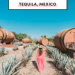 Top things to do in Tequila Guadalajara Mexico