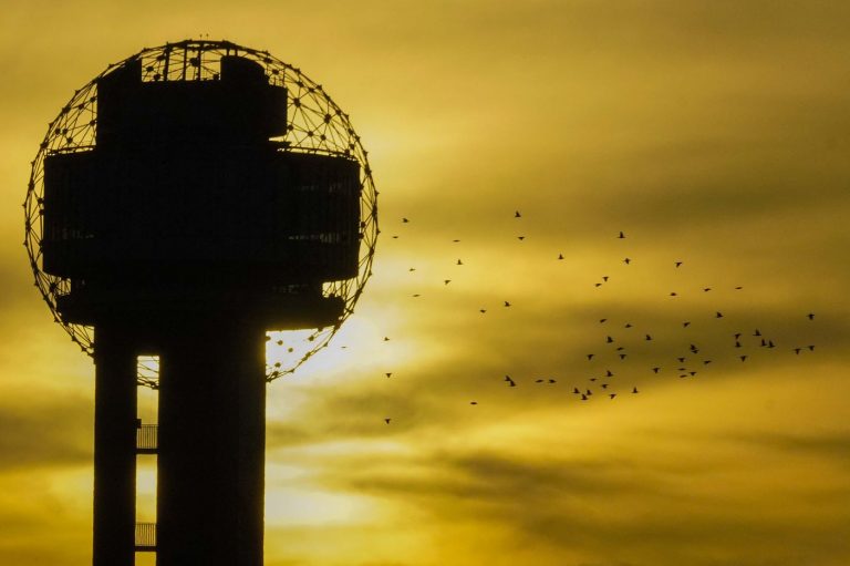 Reunion Tower