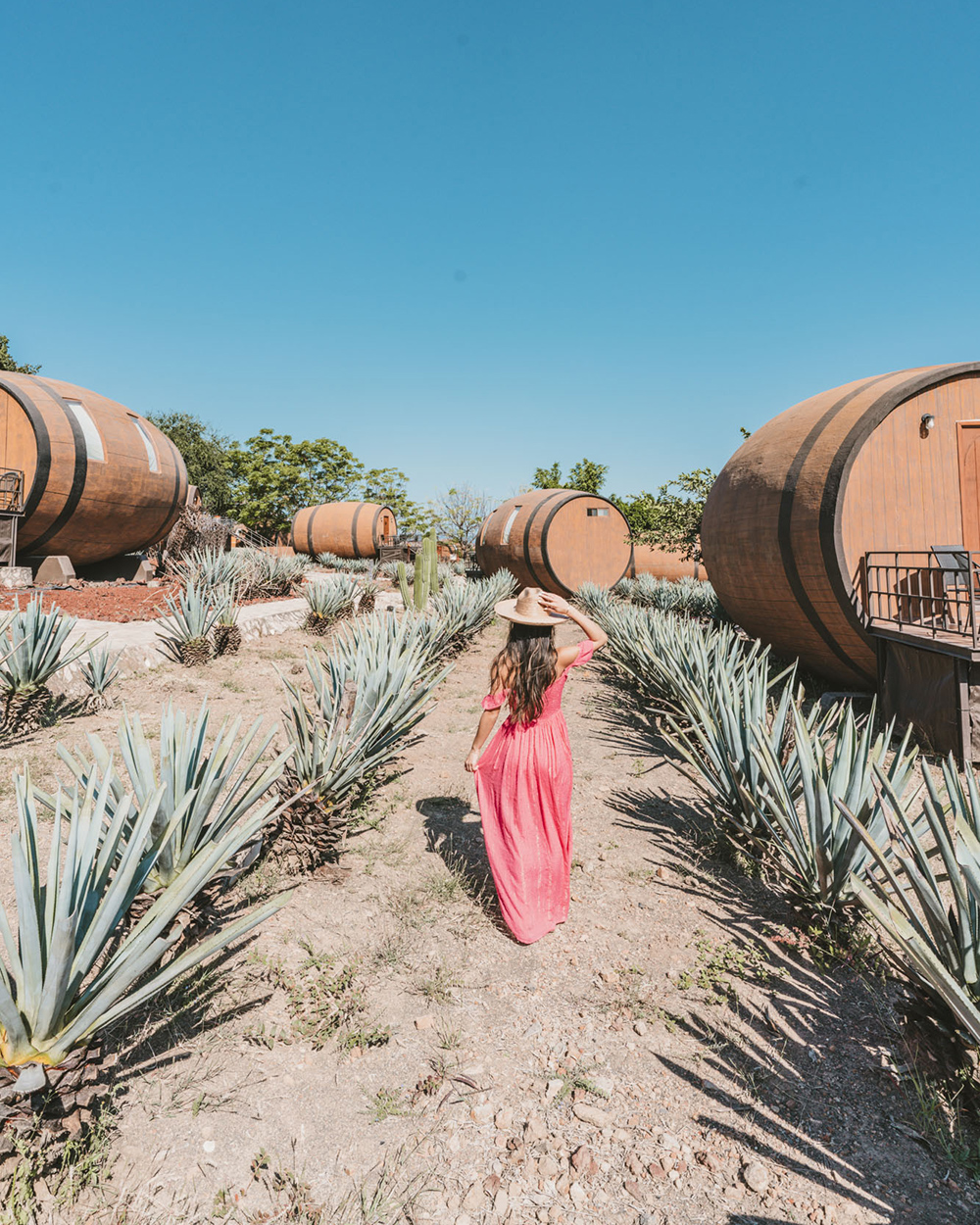 Matices Hotel de Barricas in Tequila