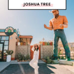 17 Top Things To Do In Joshua Tree National Park California