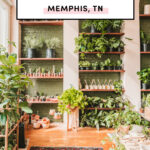 things to do in Memphis Tennessee